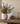 Dried Floral Decor for Every Room and Season