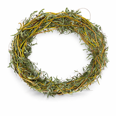 Green leafy wreath on a white background