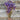 Hand holding a bundle of purple flowers against a wooden background