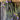 Drying cardoons and lavender flowers hanging from a wooden ceiling