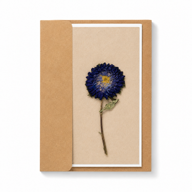 pressed blue flower on cardstock paper inside envelope on white background
