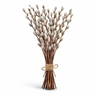 Bouquet of willow branches with white buds tied with twine on a white background