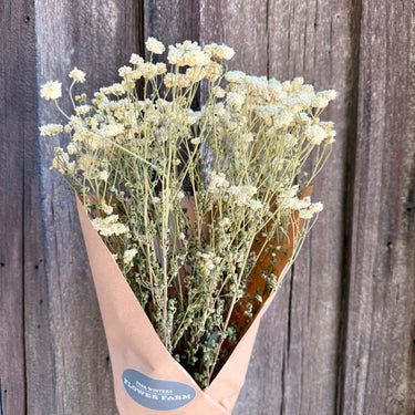 A bouquet of dried white flowers wrapped in tan paper with a blue 'Park Winters Flower Farm' label, set against a rustic weathered wood plank background.