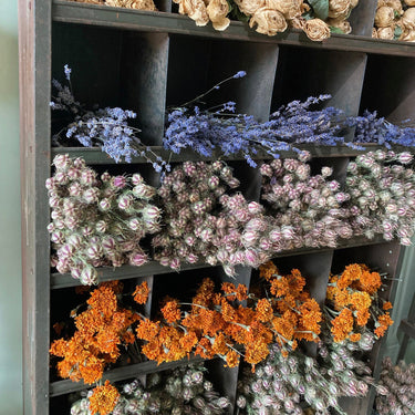 Dried Love in the Mist Bouquet