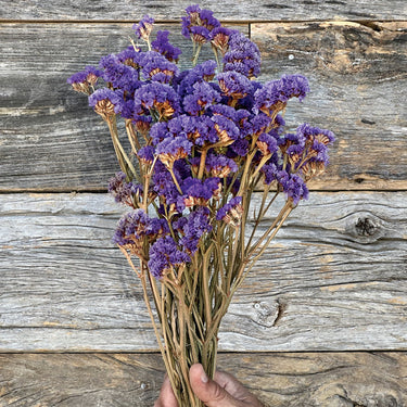 Hand holding a bundle of purple flowers against a wooden background