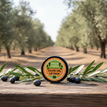 Olive oil lip balm on a wooden surface with olive branches and olives in an olive grove.