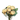 Dried Apricot Rose Bouquet