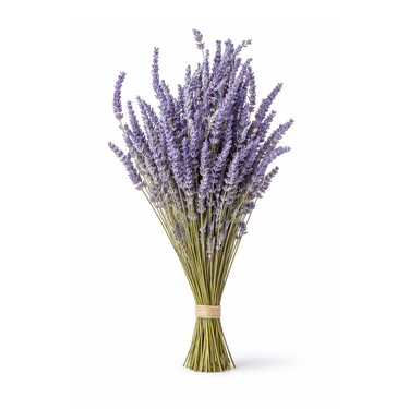 Dried Lavender Bouquet
