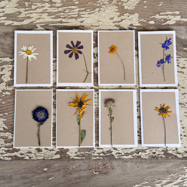 eight pressed flower greeting cards on distressed wood